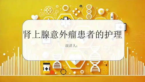 肾上腺意外瘤患者的护理课件