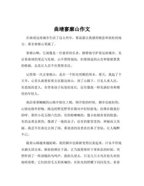 曲靖寥廓山作文
