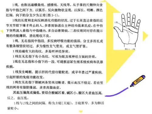现代掌纹诊病图谱(王晨霞)课件