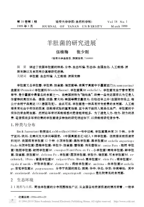羊肚菌的研究进展1