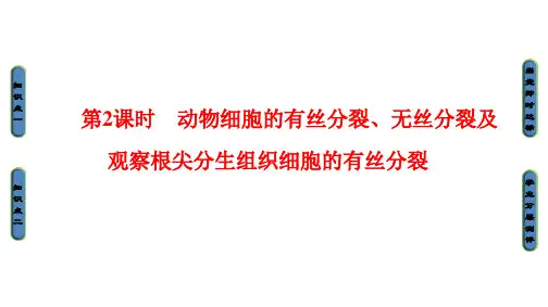 动物细胞的有丝分裂及无丝分裂[优质PPT]