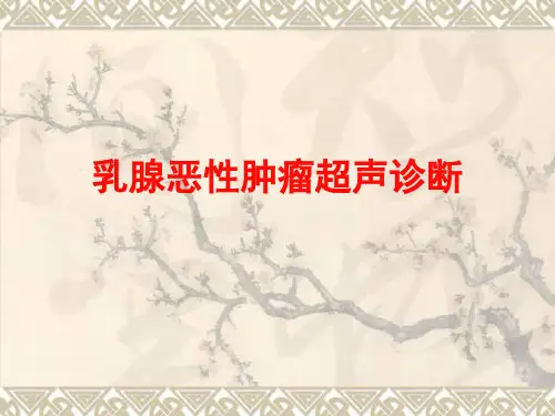 乳腺恶性肿瘤超声诊断于国放山东(3)