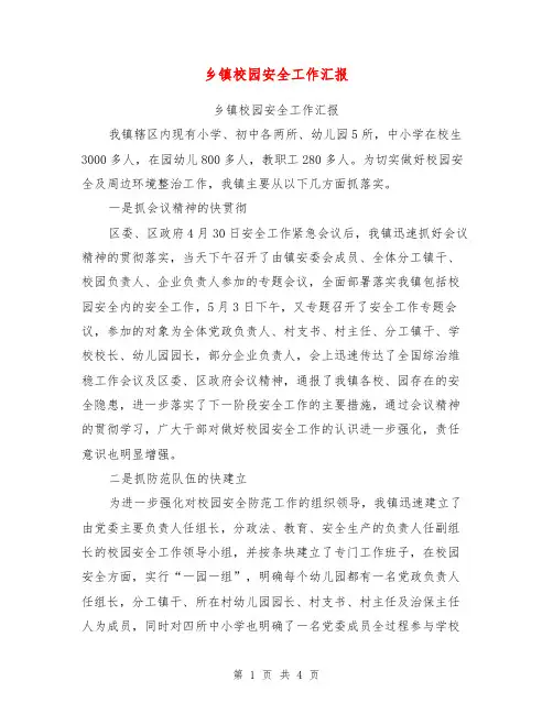 乡镇校园安全工作汇报【可编辑版】