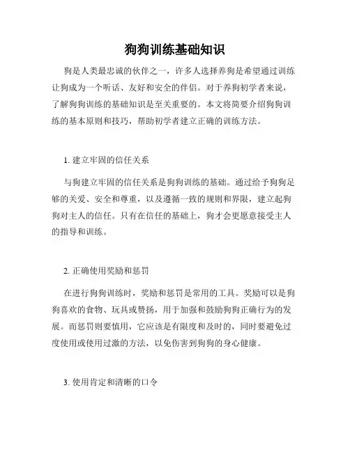 狗狗训练基础知识