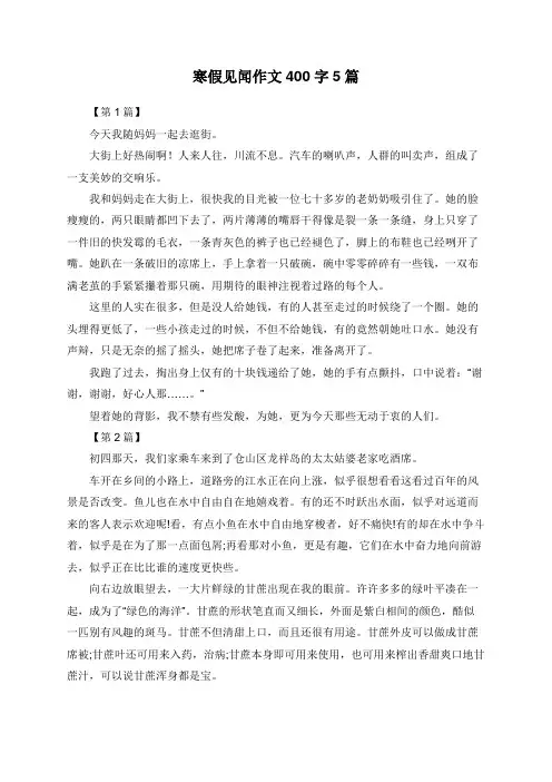 寒假见闻作文400字5篇