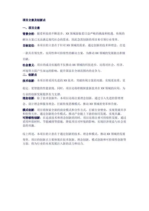 项目立意及创新点的模板