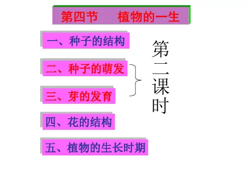 1.4植物的一生(第2、3课时)PPT课件(初中科学)
