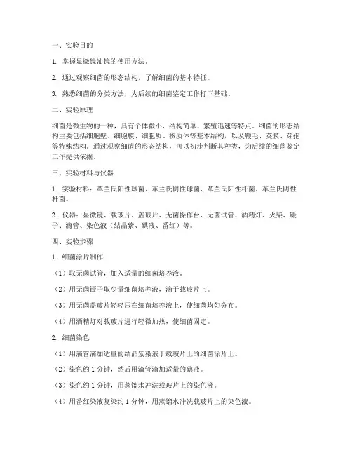 细菌的形态观察实验报告