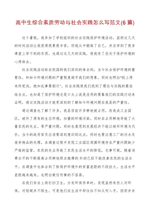 高中生综合素质劳动与社会实践怎么写范文(6篇)