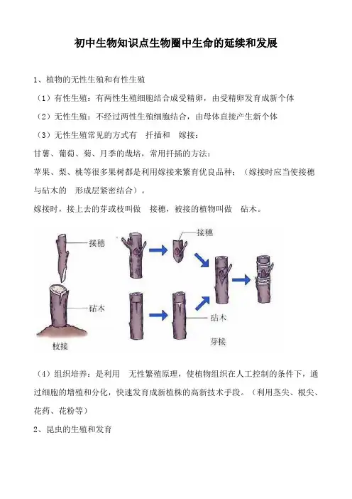初中生物知识点生物圈中生命的延续和发展