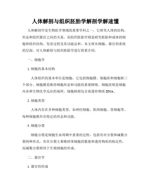 人体解剖与组织胚胎学解剖学解速懂