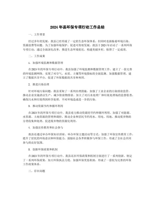 2024年县环保专项行动工作总结