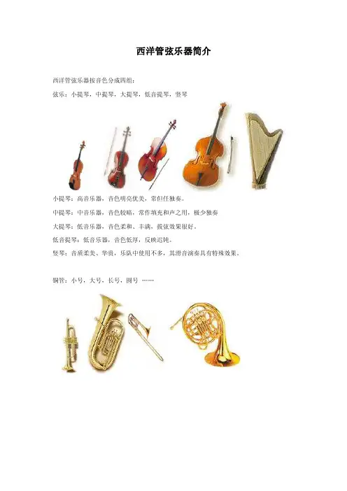 西洋管弦乐器简介