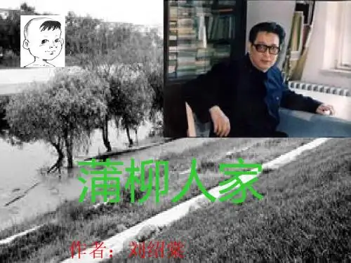 《蒲柳人家》ppt课件(40页)