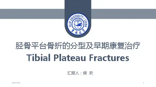 胫骨平台骨折PPT优秀课件
