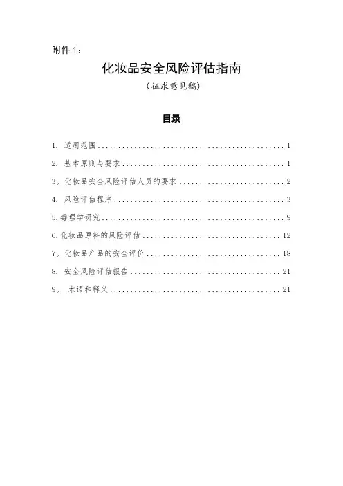 化妆品安全风险评估指南【范本模板】