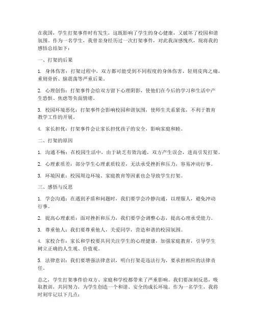 学生打架感悟总结范文