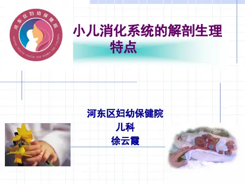小儿消化系统解剖生理特点