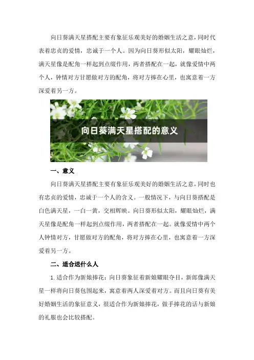 向日葵满天星搭配的意义,适合送什么人