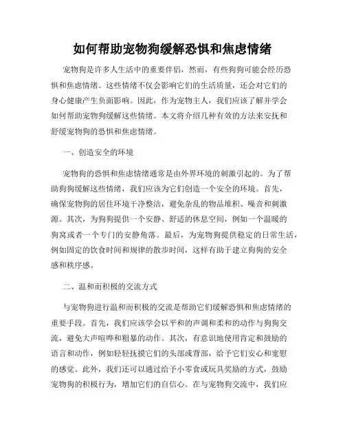 如何帮助宠物狗缓解恐惧和焦虑情绪