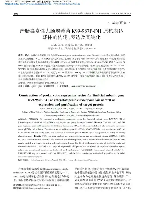产肠毒素性大肠埃希菌K99-987P-F41原核表达载体的构建、表达及其纯化优先出版