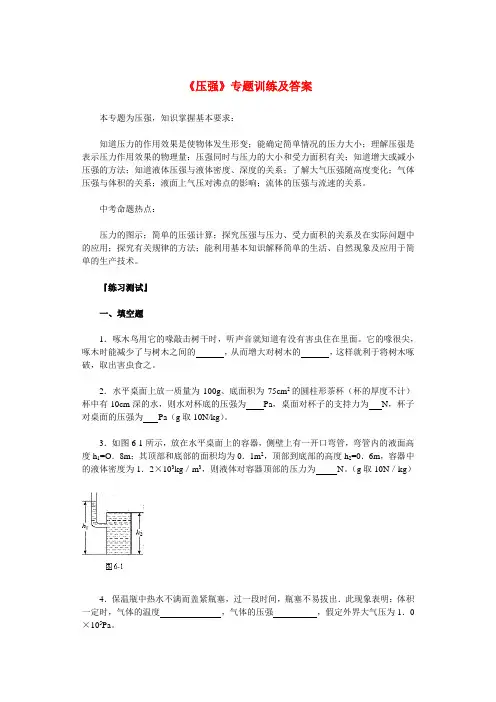 九年级物理全册《压强》专题训练及答案人教版
