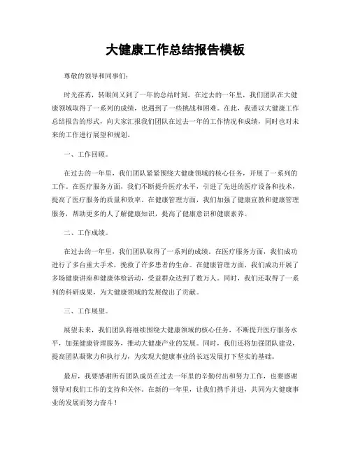 大健康工作总结报告模板
