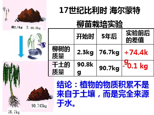 同位素标记法碳的同位素