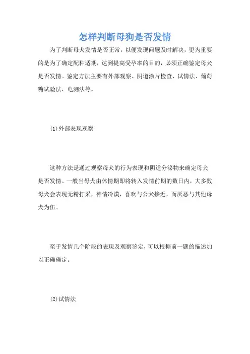 怎样判断母狗是否发情