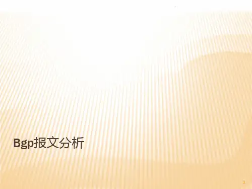 bgp报文分析PPT课件