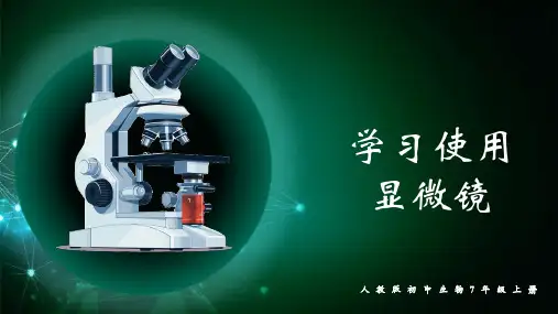 1.2.1 学习使用显微镜-七年级上册生物课件(人教版2024)
