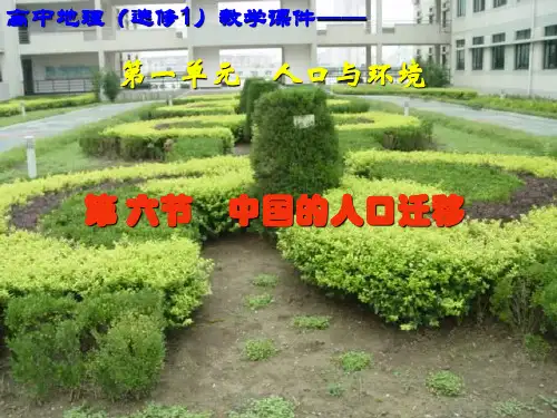 中国人口迁移PPT课件