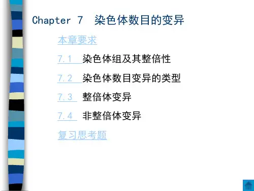 染色体的数目变异