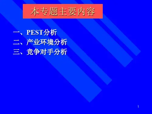 企业战略分析外部环境分析
