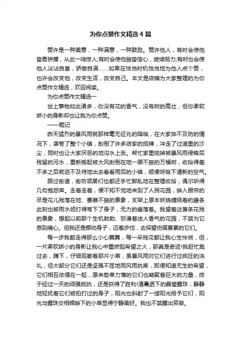 为你点赞作文精选4篇