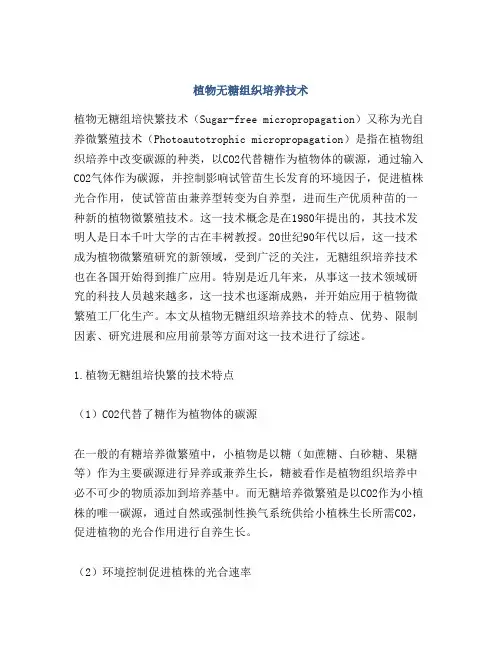 植物无糖组织培养技术
