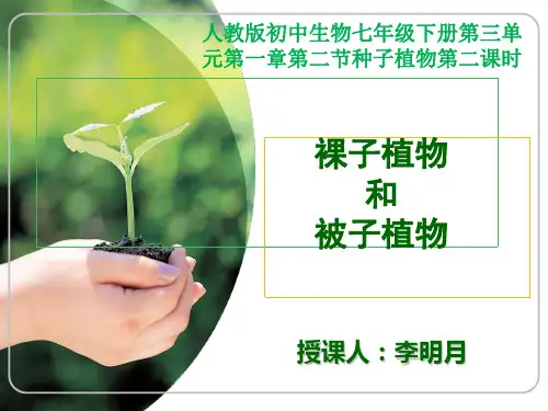 裸子植物与被子植物
