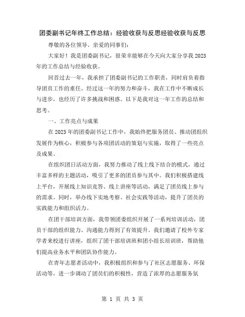 团委副书记年终工作总结：经验收获与反思