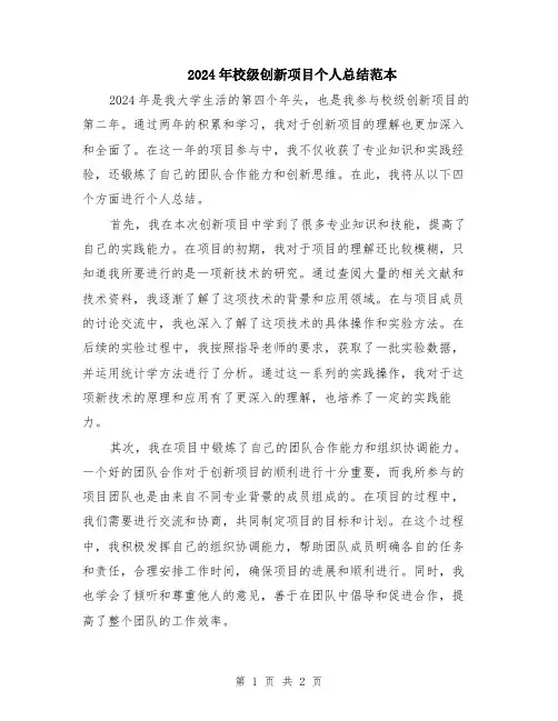2024年校级创新项目个人总结范本