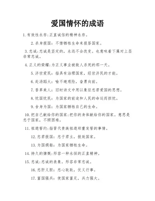 爱国情怀的成语