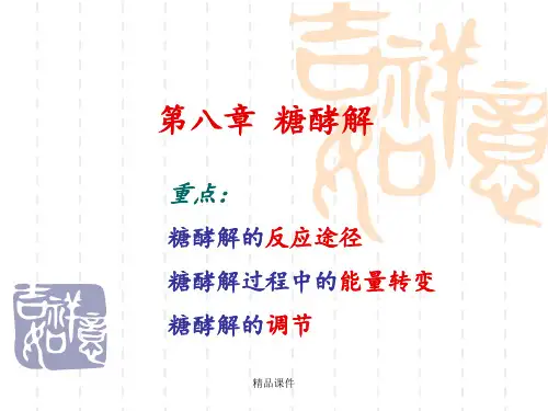 生物化学 糖酵解  