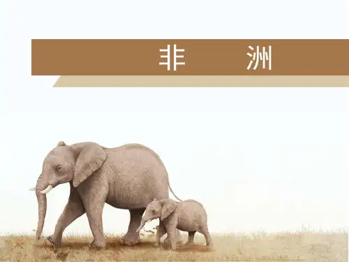 高二 区域地理 非洲 说课课件