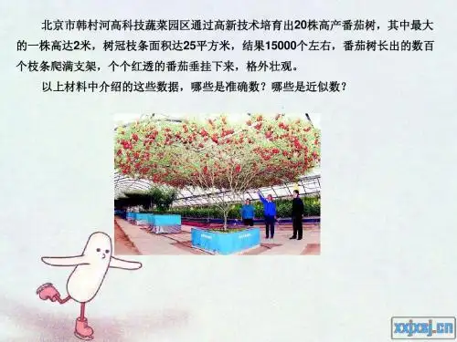 五年级第一讲第一节  奥数课件