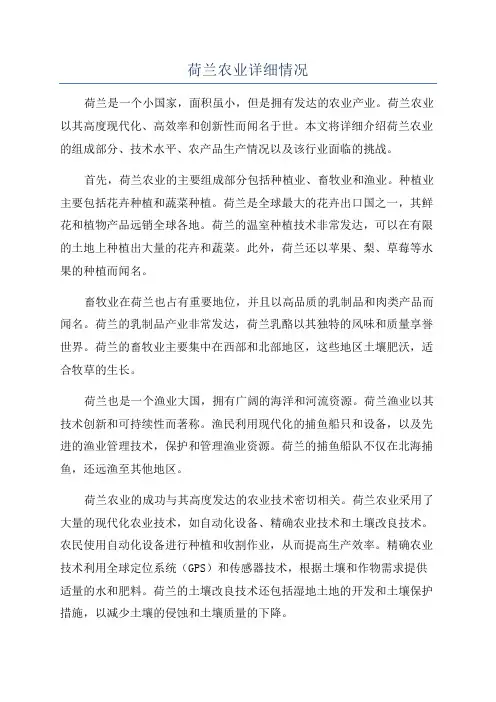 荷兰农业详细情况