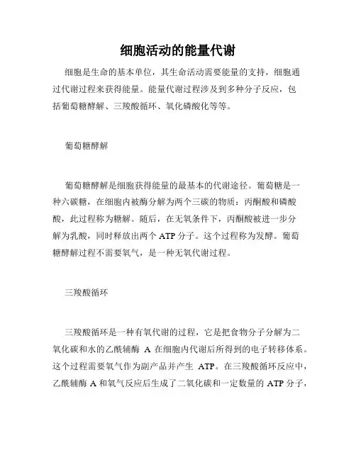 细胞活动的能量代谢