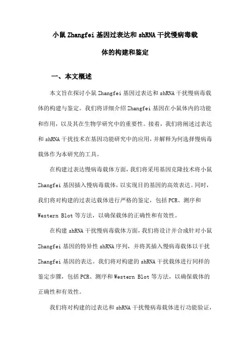 小鼠Zhangfei基因过表达和shRNA干扰慢病毒载体的构建和鉴定