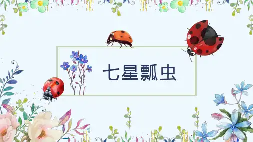 少儿6-8岁 七星瓢虫(手工)—美术课件