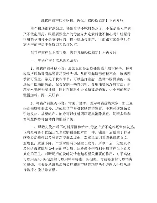 母猪产前产后不吃料,教你几招轻松搞定!不再发愁
