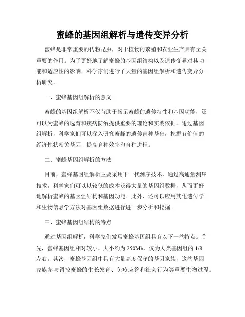 蜜蜂的基因组解析与遗传变异分析