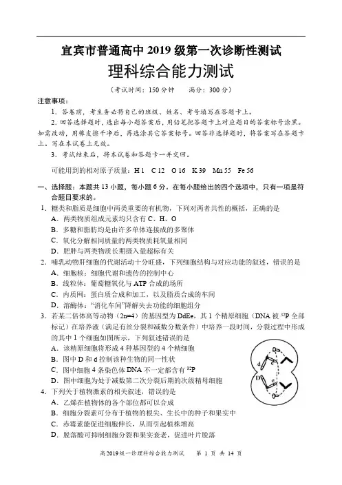 2021年宜宾市高2019级一诊考试理科综合试题(合卷)